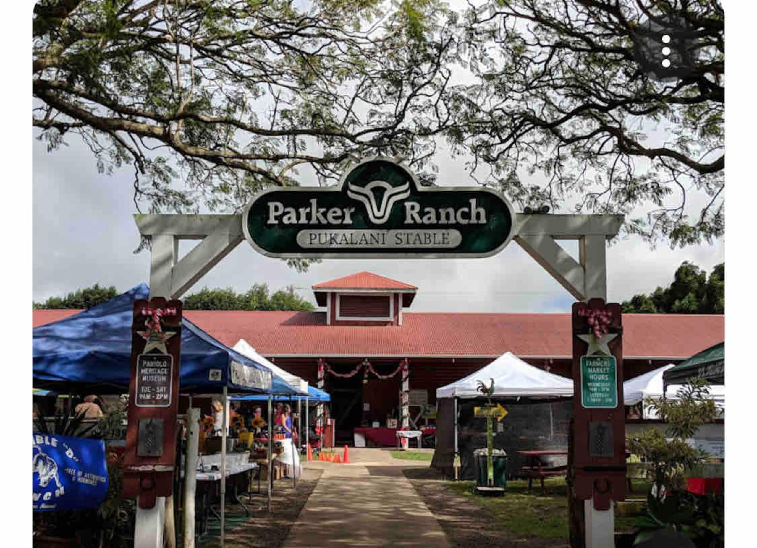 Heart of Waimea Studio – Walk Everywhere - Photo 24