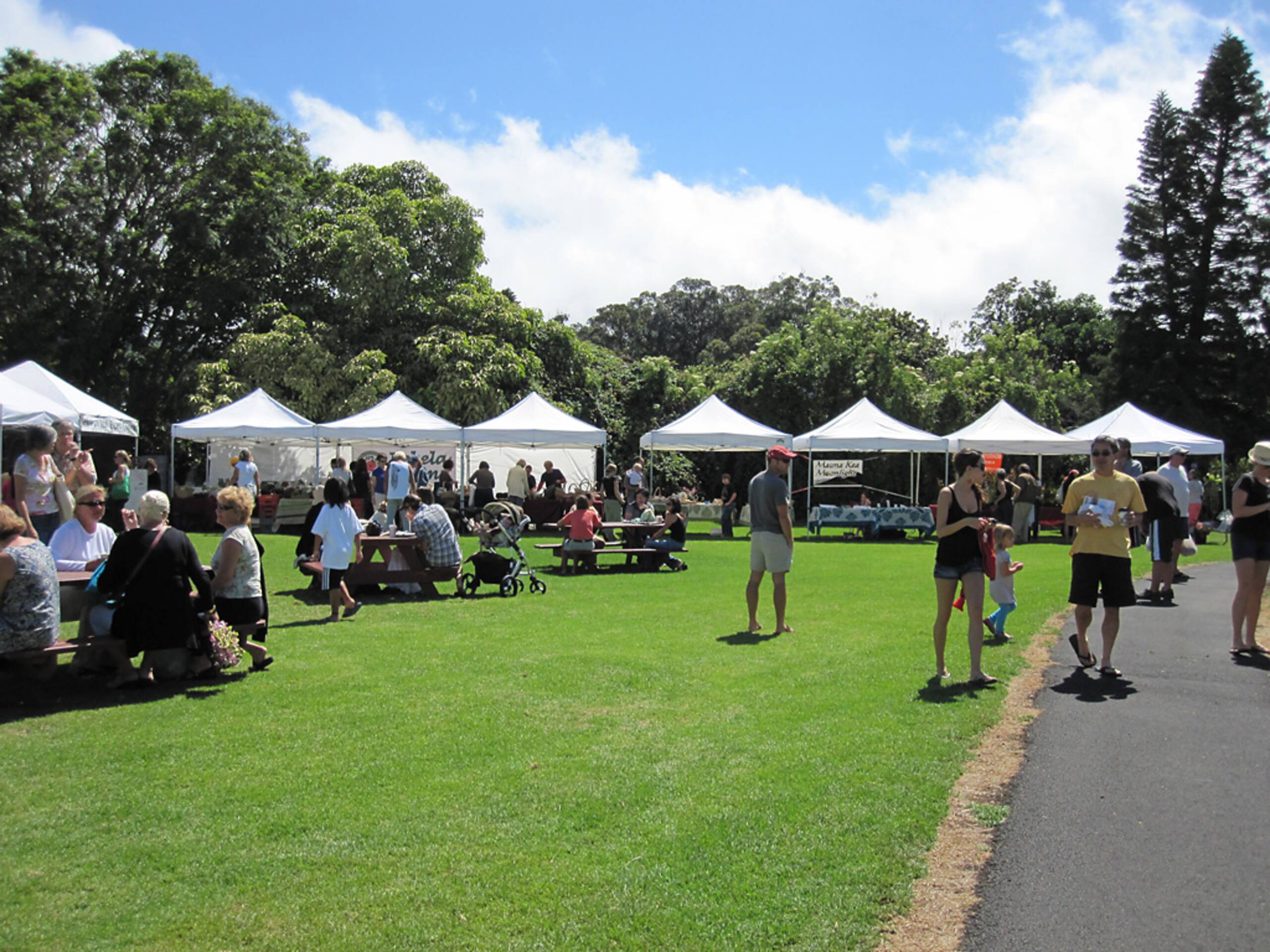 Heart of Waimea Studio – Walk Everywhere - Photo 23