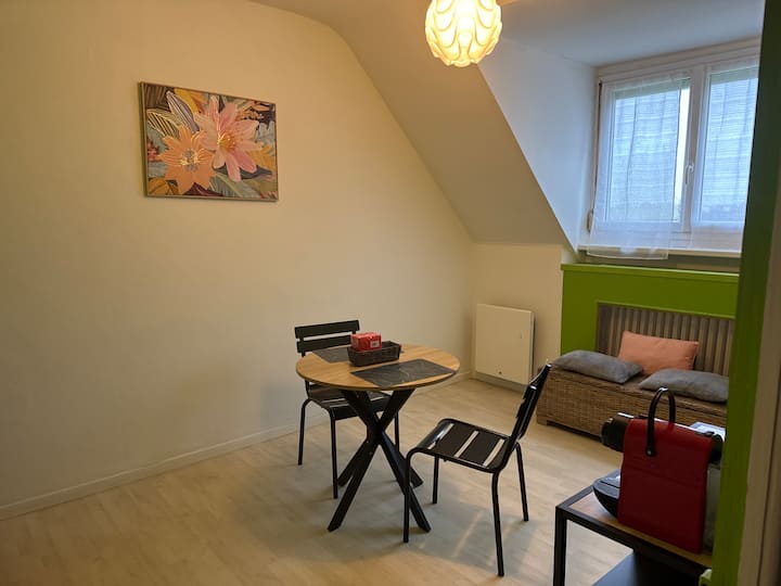 Loue Grande Chambre Vue Mer Lointaine - Plozévet