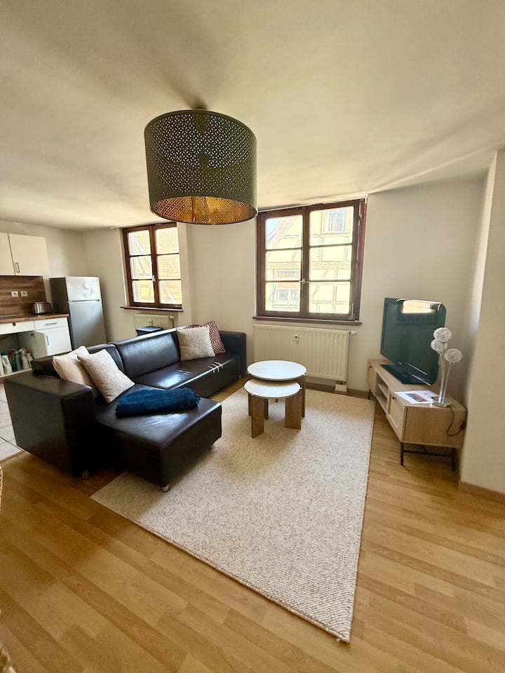 Charme Au Cœur D’obernai – Idéal Centre Ville - Obernai