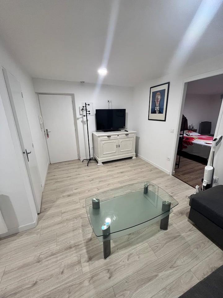 Joli T2 De 50m2 Au Cœur De Saint-marcellin - Saint-Marcellin