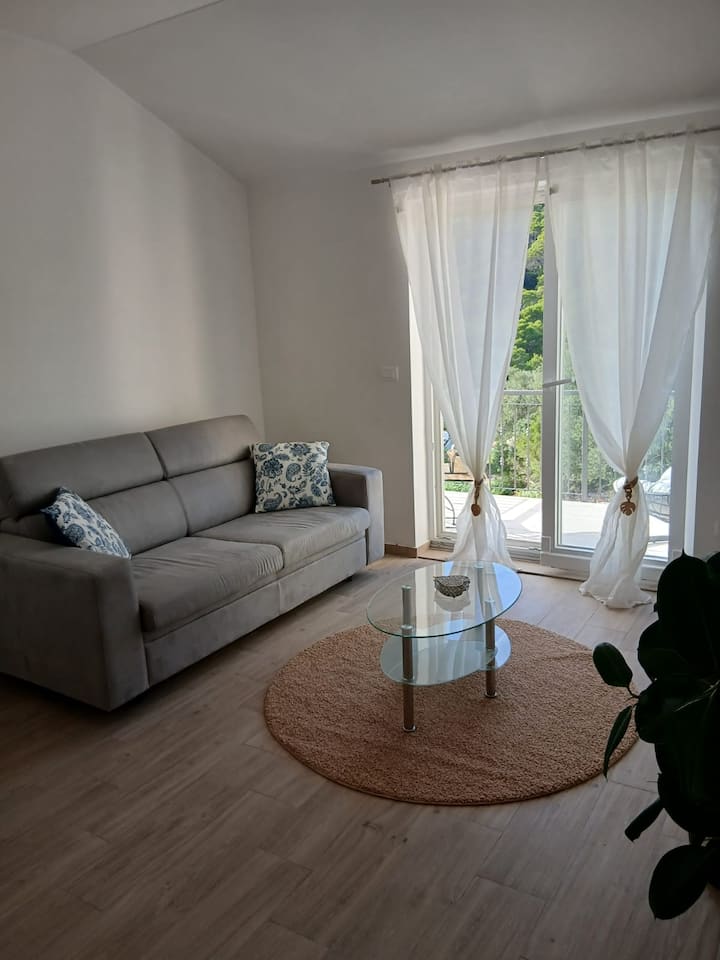 Apartman Lasko 1 - Pomena