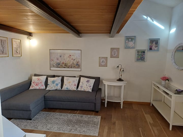 Appartamento Nel Cuore Di Pistoia - Pistoia