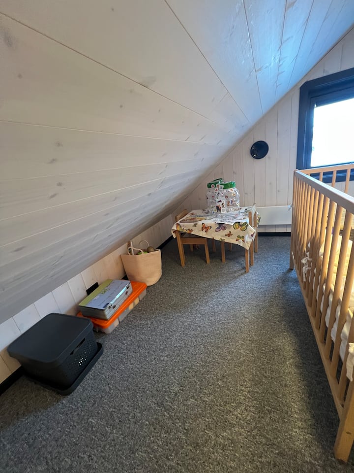 Juguetes para los niños. Lego, imanes y otros.