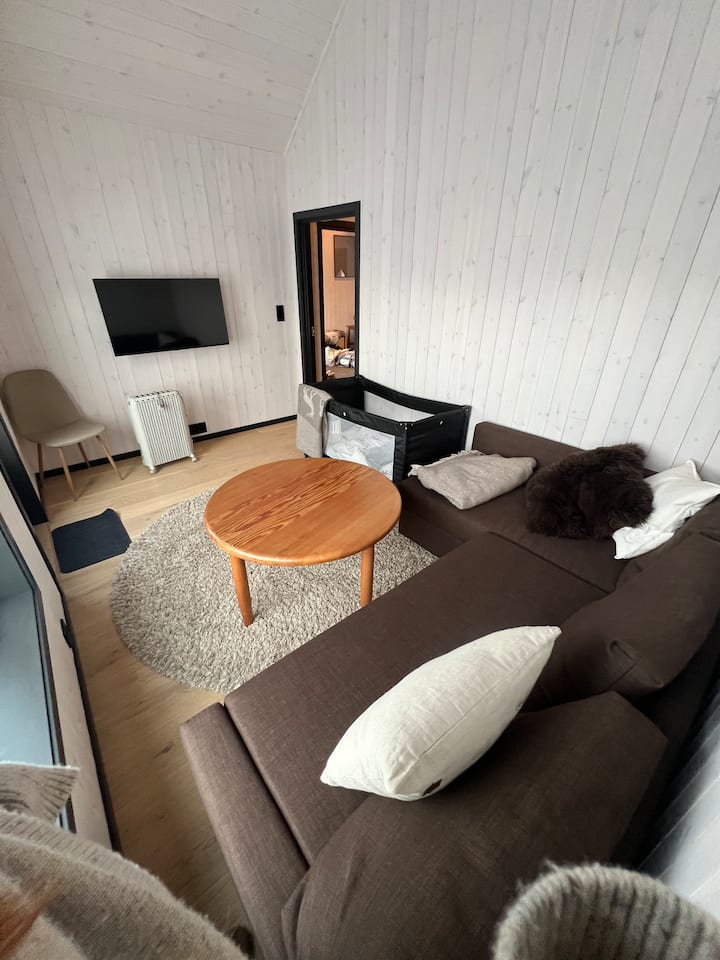 Sofá cama con espacio para dos adultos. 