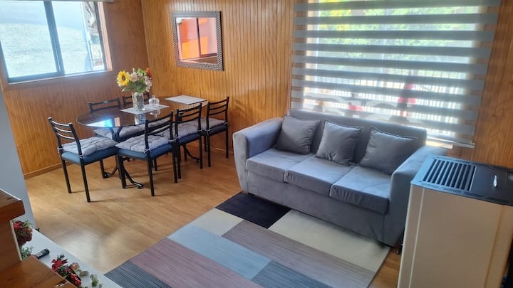 Cómoda Casa Familiar - Valdivia