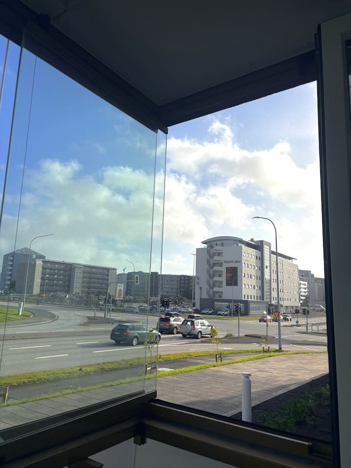 Cosy Apartment! - Reykjavik