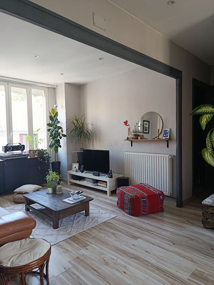 Appartement Lumineux Face Aux Sanctuaires - 盧爾德