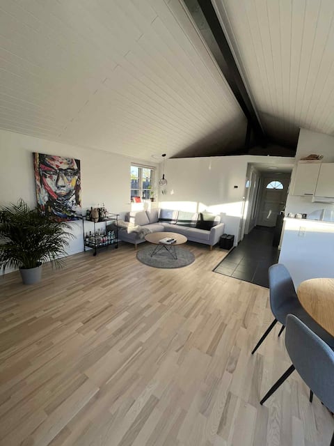 Top performing Airbnb: HOUSING in Hvidovre in Hvidovre