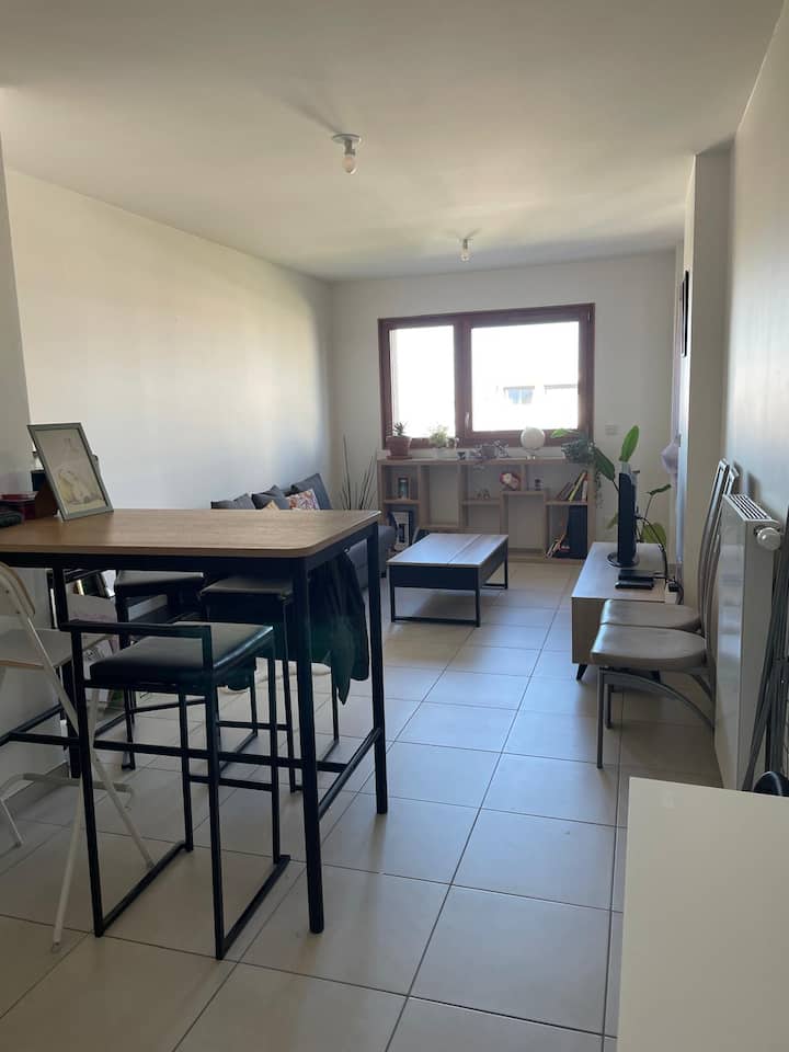 Appartement Saint Priest- Proche Eurexpo - Saint-Priest
