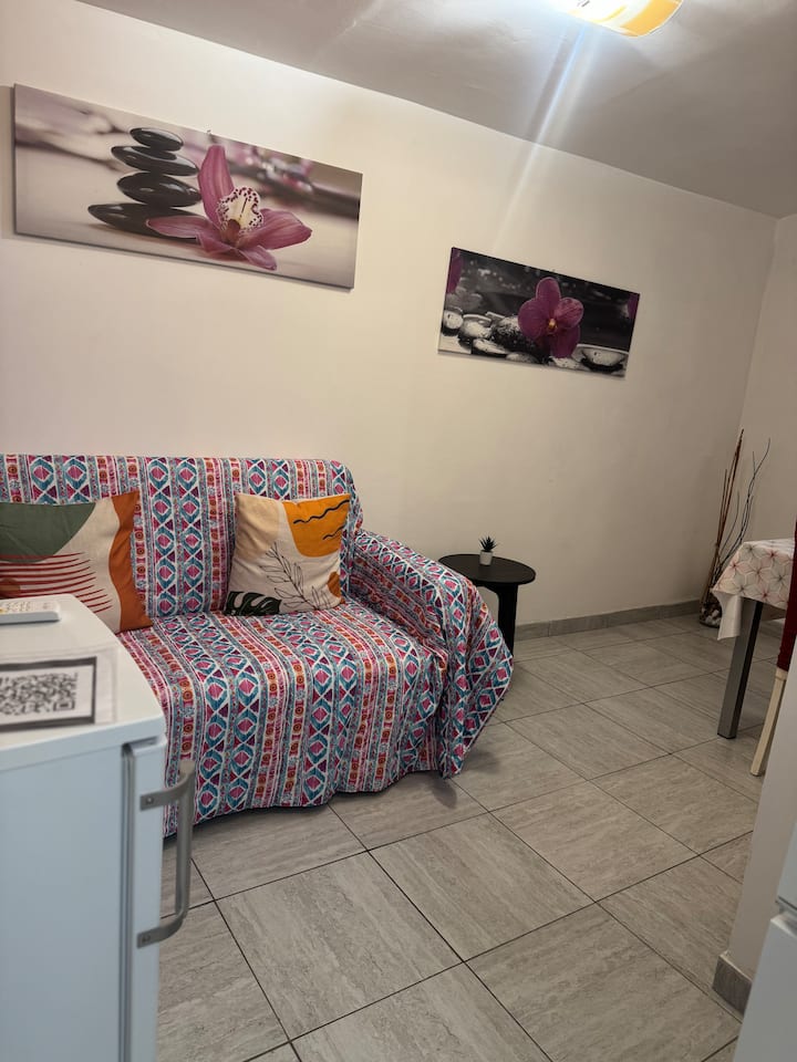 Accogliente 2 Posti – Fiumicino, Vicino Aeroporto - Leonardo da Vinci Airport - Rome - Fiumicino (FCO)