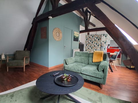 Top performing Airbnb: Nice apartment F2 "le Green", city center, Netflix in Sens