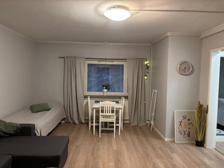 Sally - Apartment 24/7 Check-in With Free Parking - Vaasa