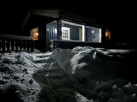 Cozy cabin for rent in Budor