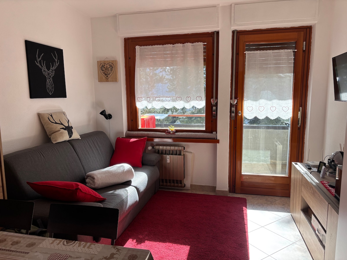 Top performing Airbnb: Comfortable studio apartment near the ski slopes. in Sestriere