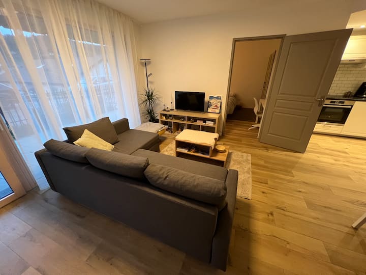 Appartement « Au Fil De L’orbe » - Bois-d'Amont