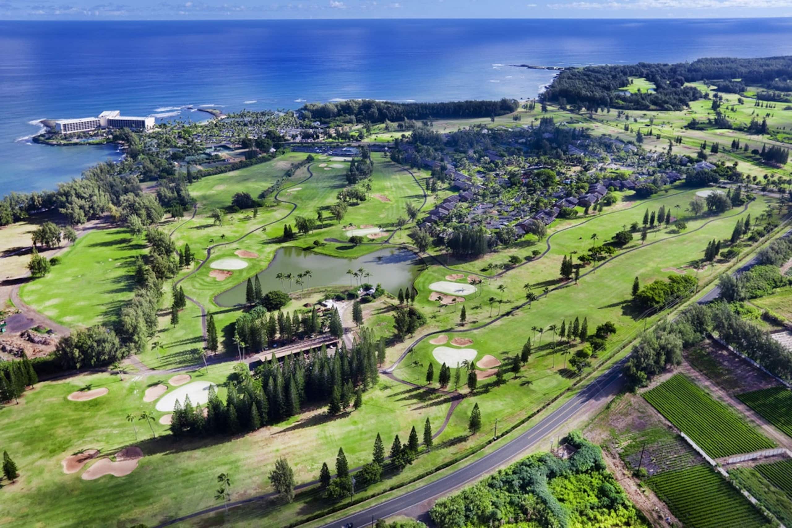North Shore Condo At Turtle Bay - Image 27