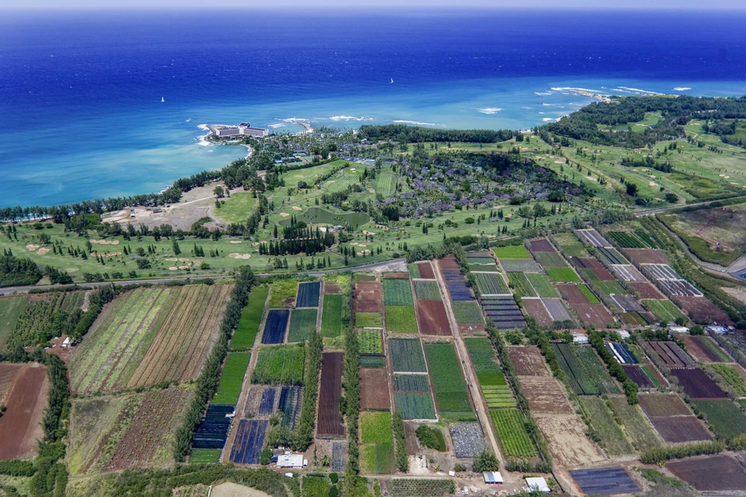 North Shore Condo At Turtle Bay - Image 22