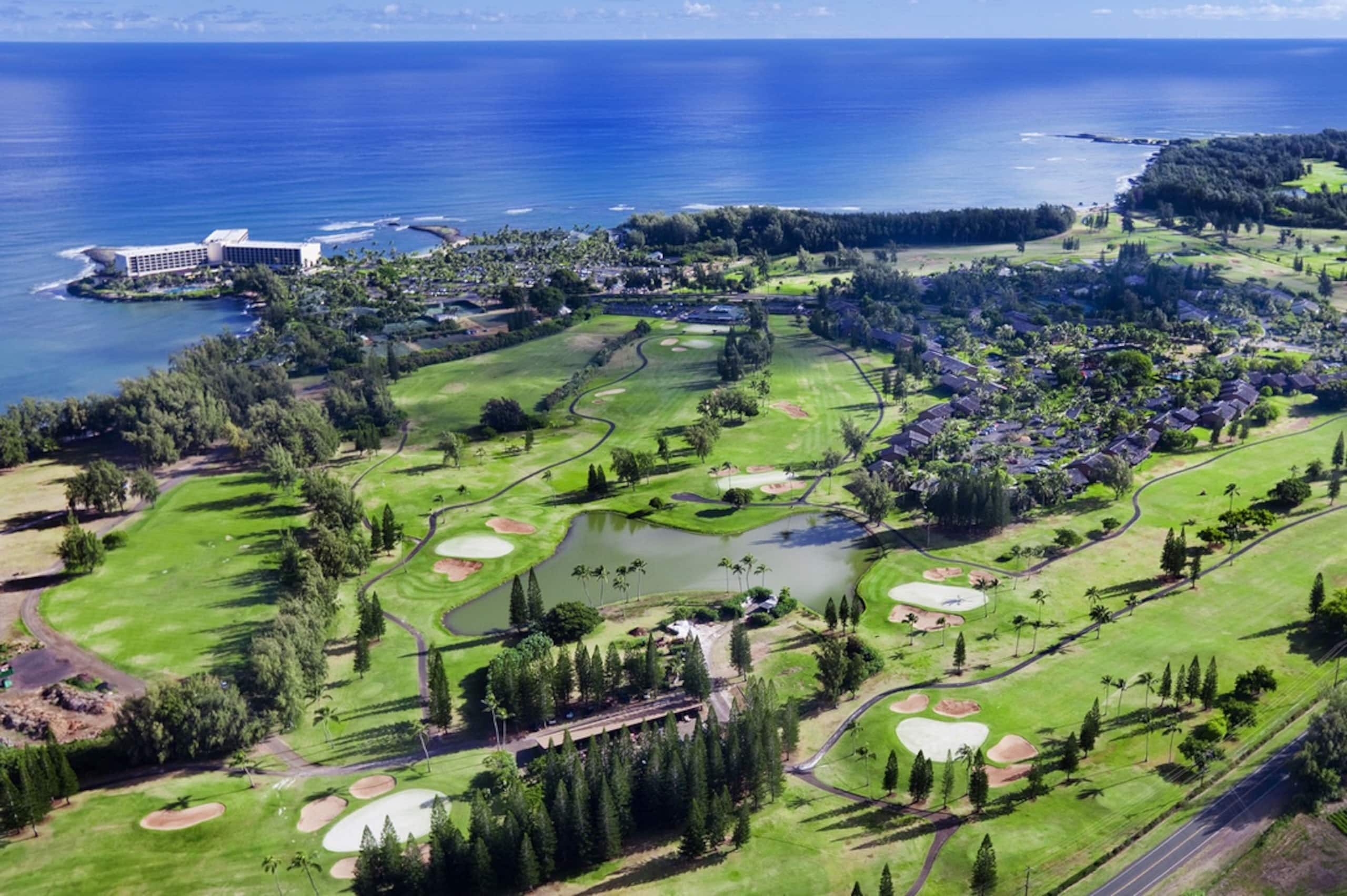 North Shore Condo At Turtle Bay - Image 21