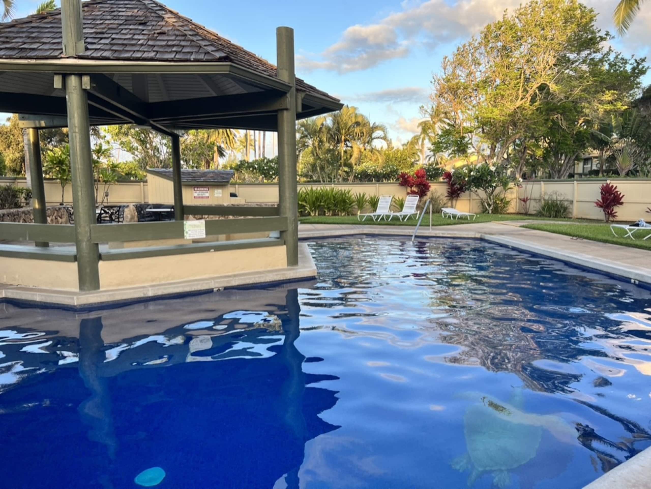 North Shore Condo At Turtle Bay - Image 16