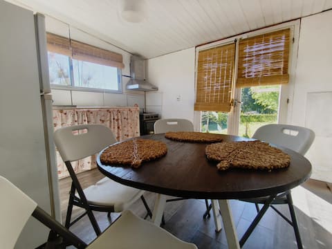 Top performing Airbnb: Casa LIMÓN in Buenos Aires