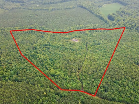 Deerwood Retreat: 3BRs on 70 acre private property