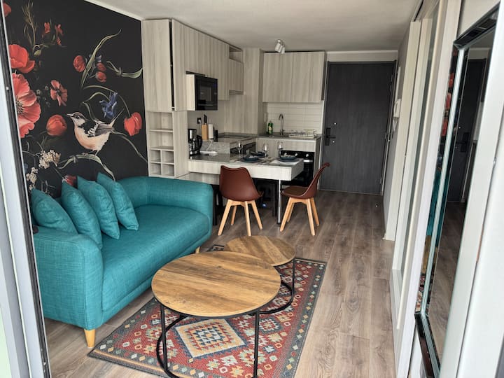 Moderno Departamento Metro Parque Almagro Con A/c - Recoleta