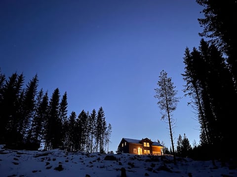 Large family-friendly cabin with patio near lake/forest