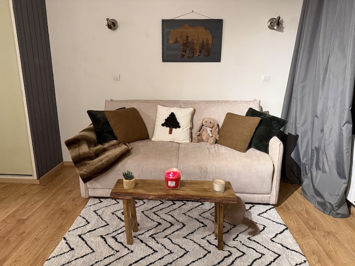 Studio Cosy De 30m2 Avec Balcon Pra Loup 1600 - Pra-Loup