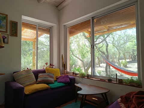 Top performing Airbnb: Chañar in Villa Las Rosas