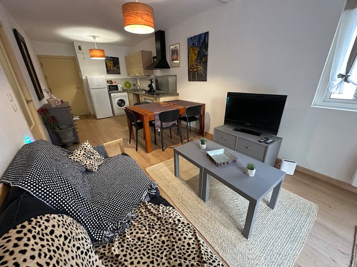 T3 Sud Navette Parking Privé Jardinet - Bolquère