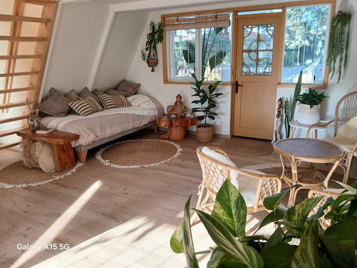 غرفة المعيشة