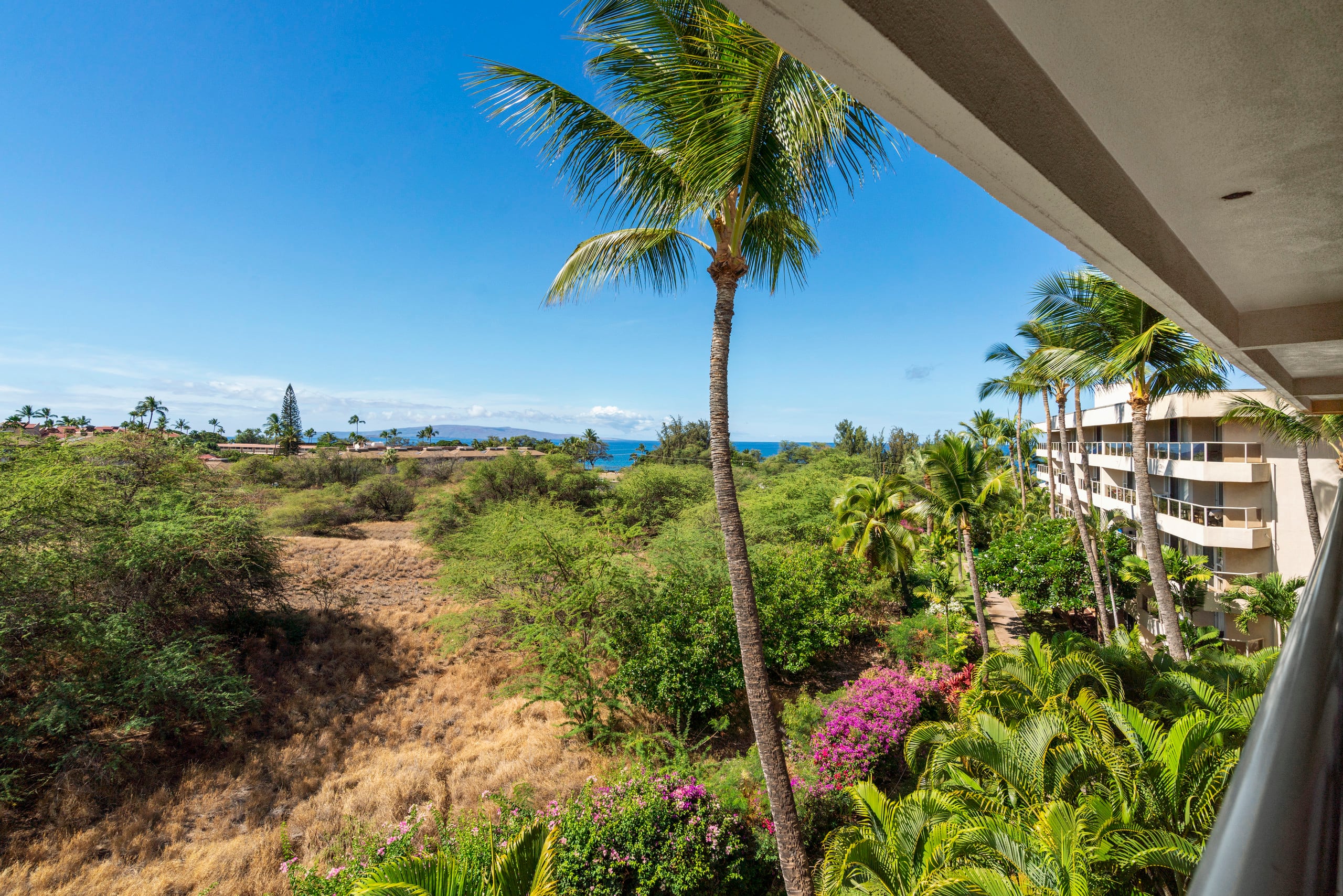 Beachside studio w/ pool & hot tub access - Image 22