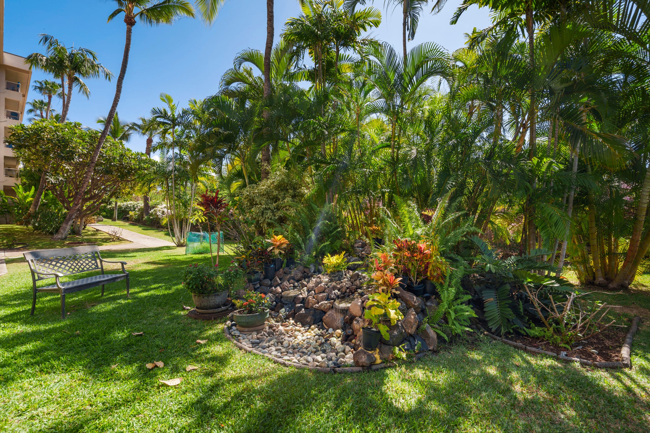 Beachside studio w/ pool & hot tub access - Image 23