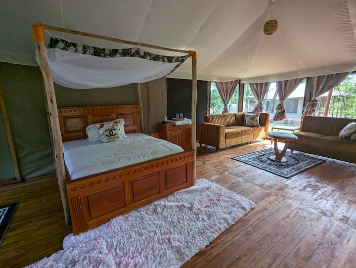 Habitación 1