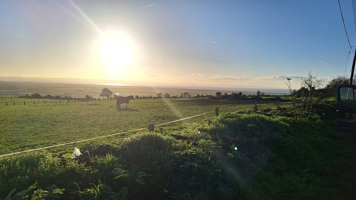 Mendip Way Cabin - Weston-super-Mare