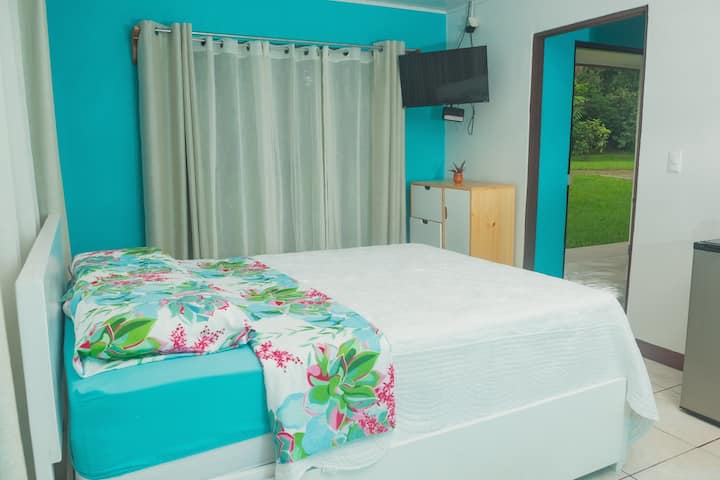 Colibrí, Villa Verde, Volcán Tenorio.
Río Celeste. - Costa Rica