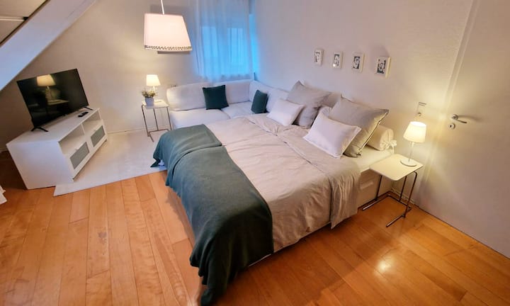 Helles Zimmer Mit Bad & Parkblick. Zentral & Ruhig - Stuttgart