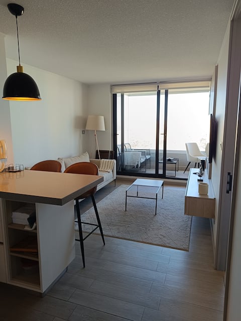 Popular Airbnb listing: Modern apartment with ocean views and great location in Concón