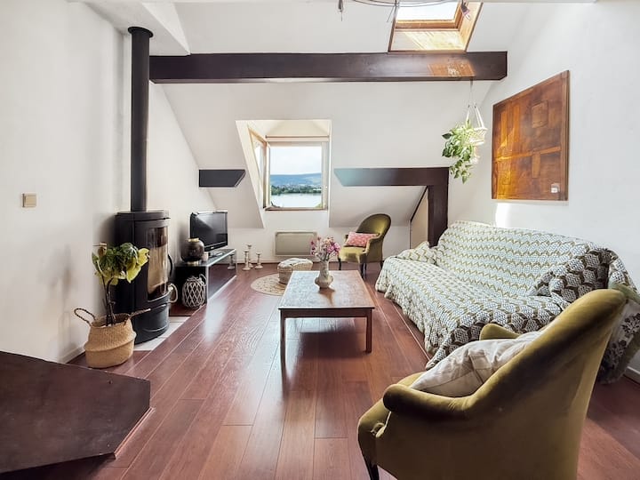 Grand Duplex Face Au Lac D'annecy - Saint-Jorioz
