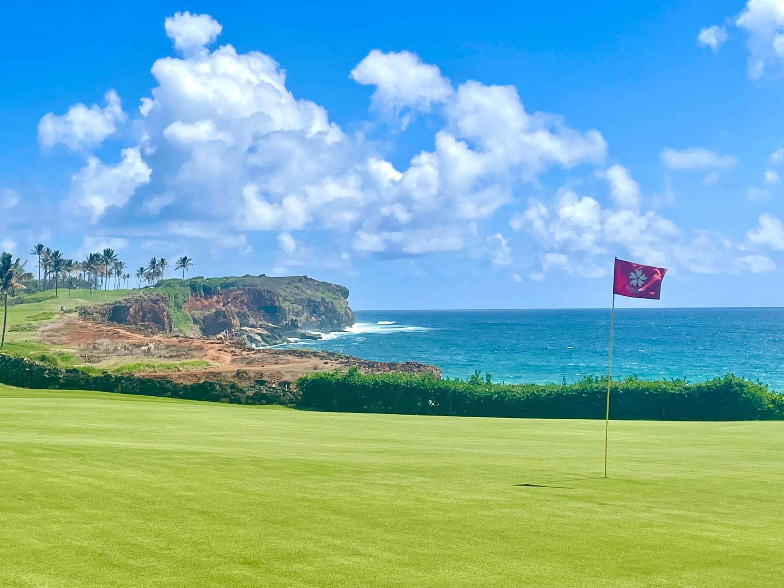 Home in Koloa · ★4.86 · 2 bedrooms · 4 beds · 2 baths - Photo 33
