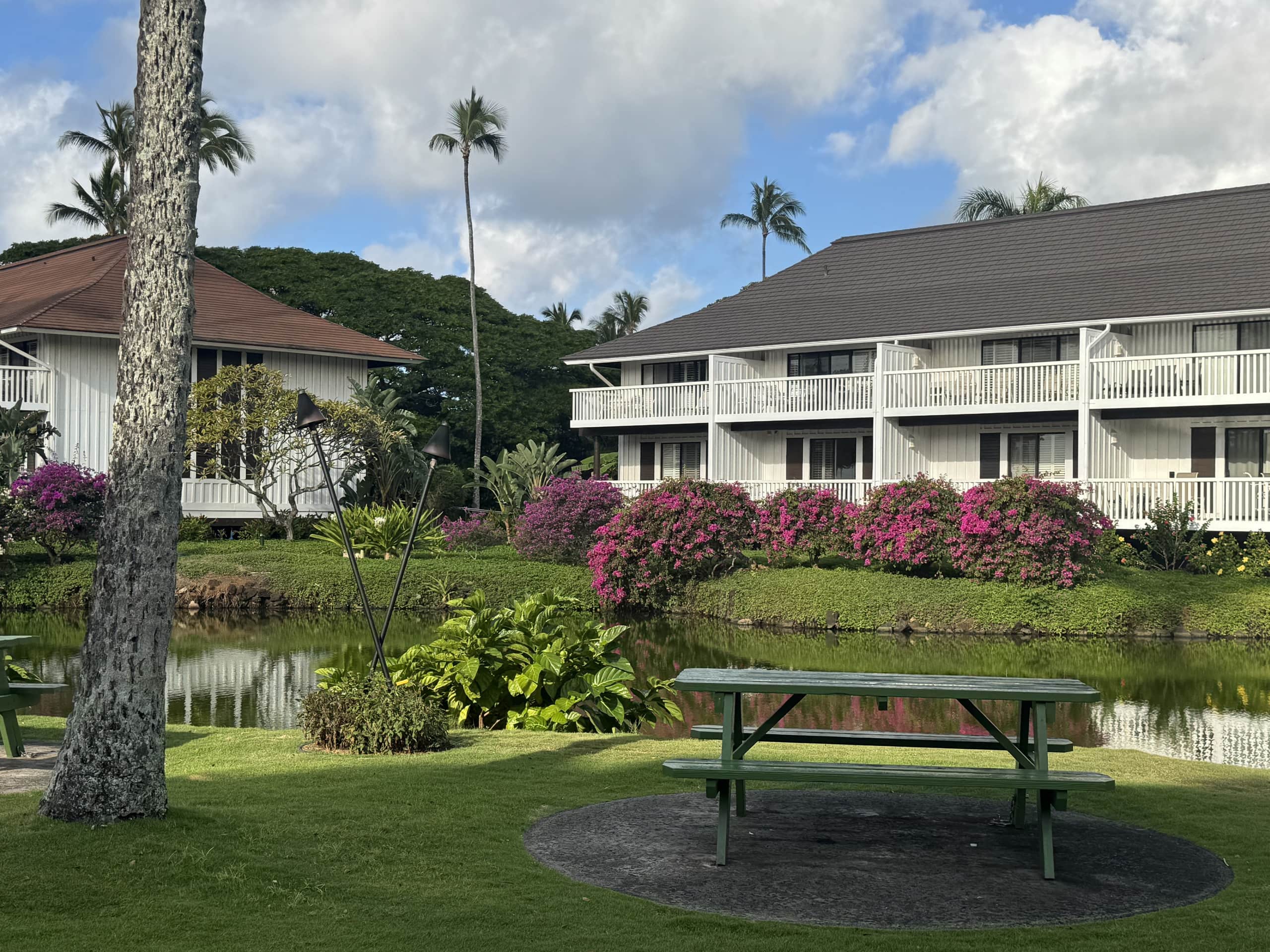 Home in Koloa · ★4.86 · 2 bedrooms · 4 beds · 2 baths - Photo 25