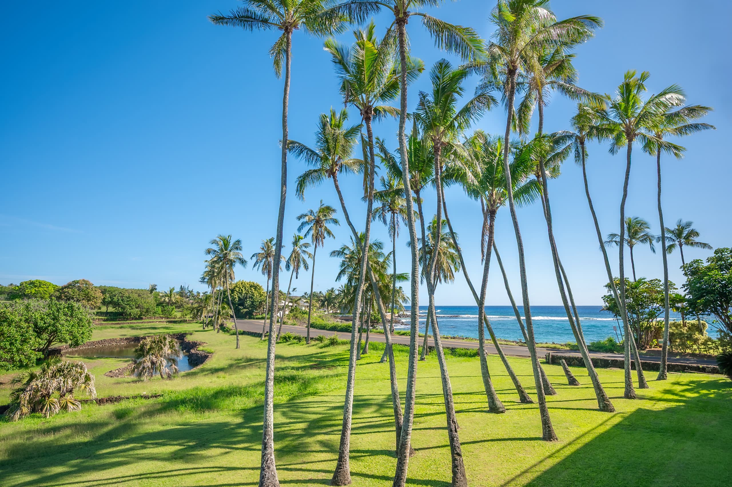 Condo in Koloa · ★4.97 · 1 bedroom · 1 bed · 1 bath - Photo 4