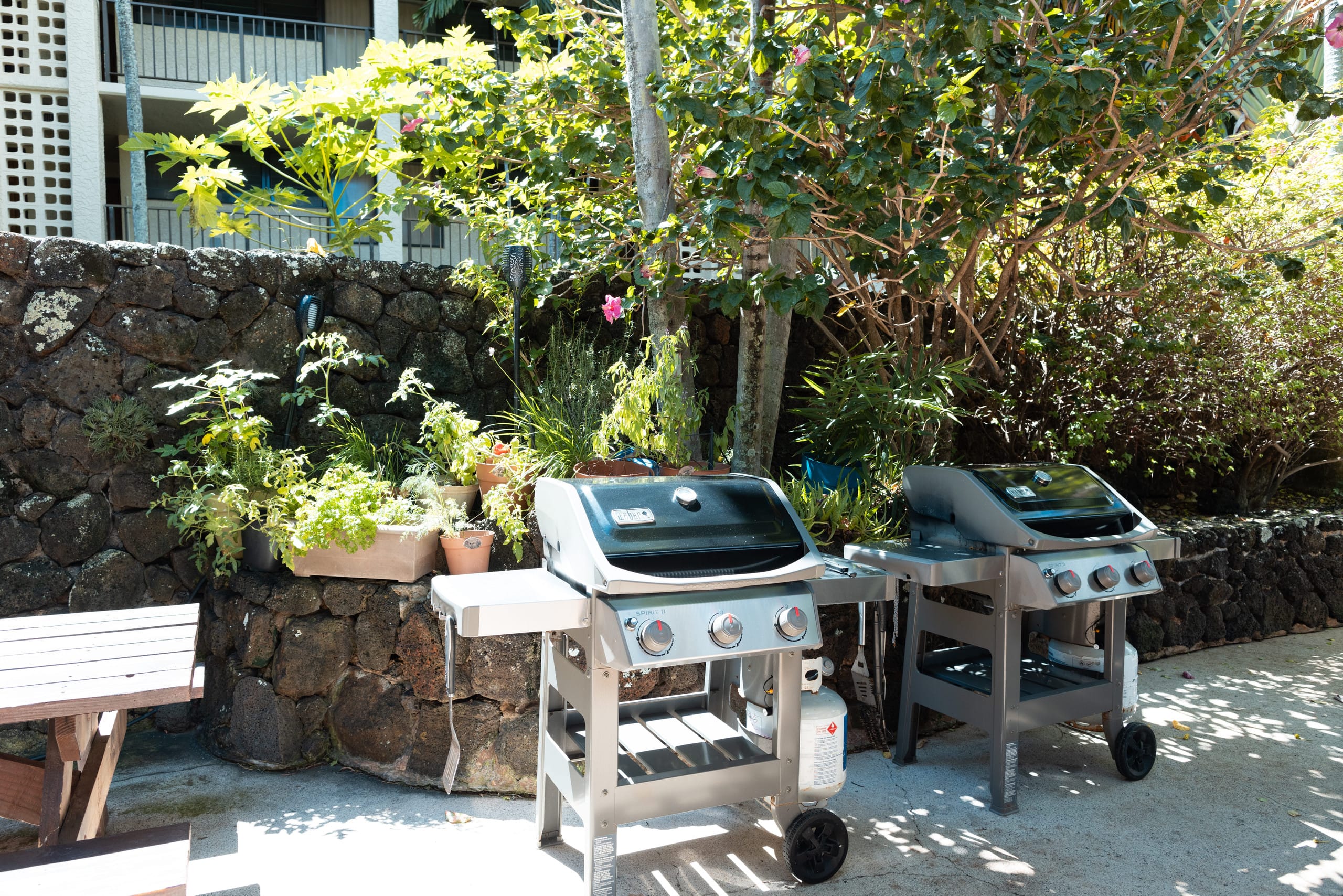Condo in Koloa · ★4.97 · 1 bedroom · 1 bed · 1 bath - Photo 20