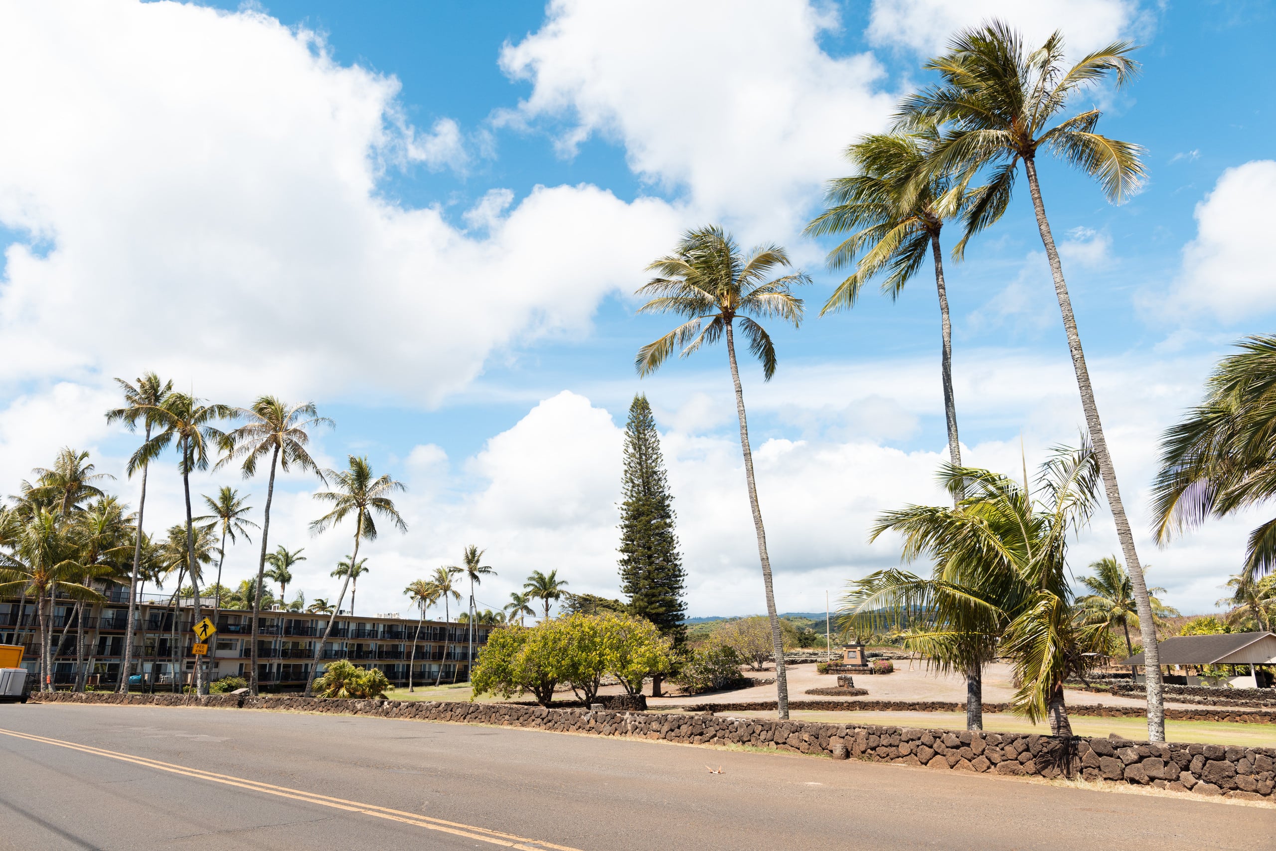 Condo in Koloa · ★4.97 · 1 bedroom · 1 bed · 1 bath - Photo 29