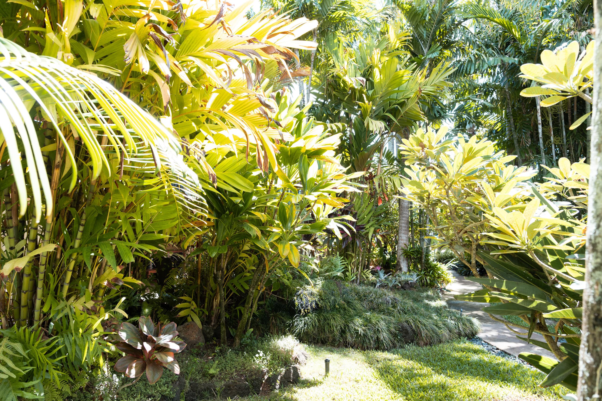 Condo in Koloa · ★4.97 · 1 bedroom · 1 bed · 1 bath - Photo 26