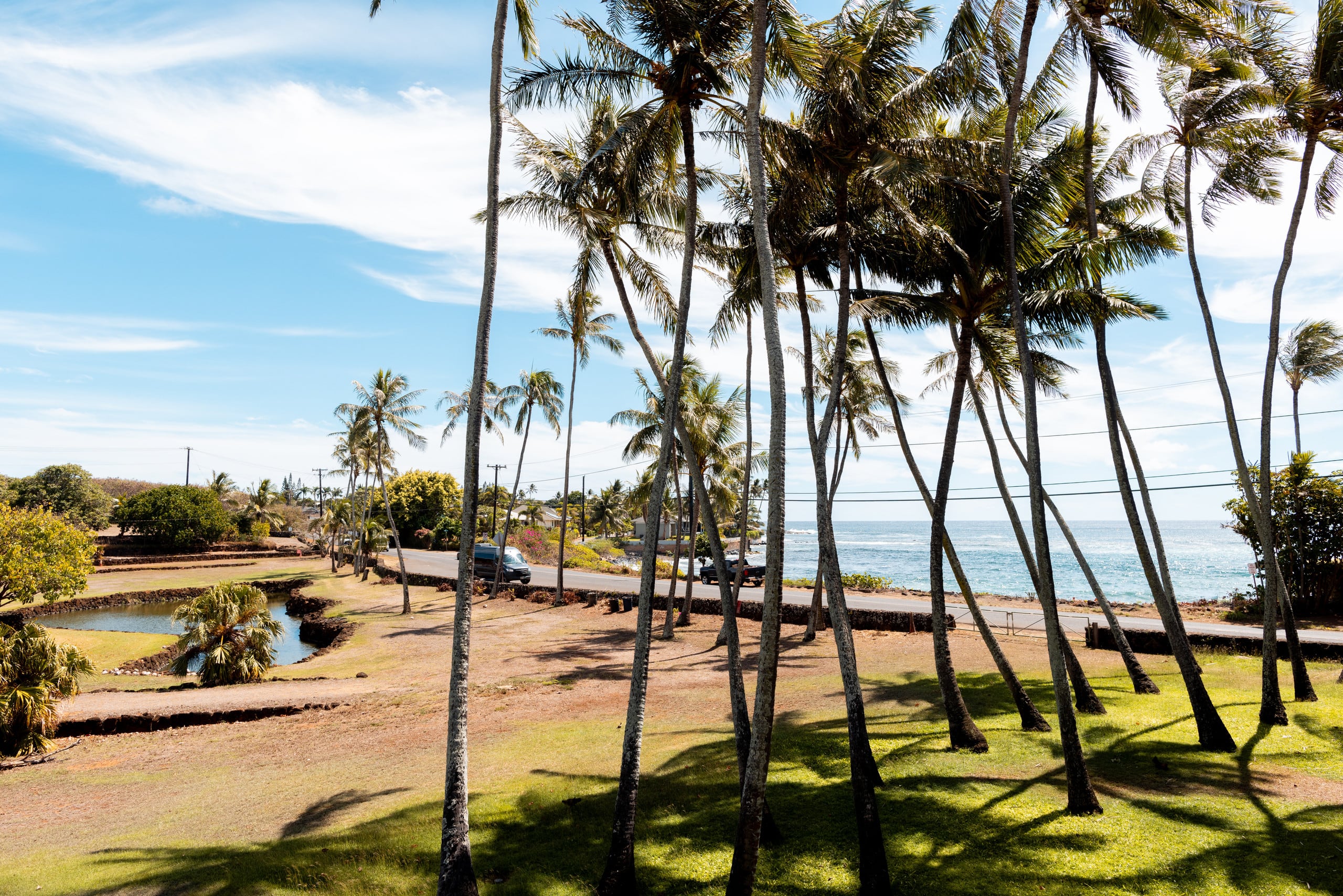 Condo in Koloa · ★4.97 · 1 bedroom · 1 bed · 1 bath - Photo 25