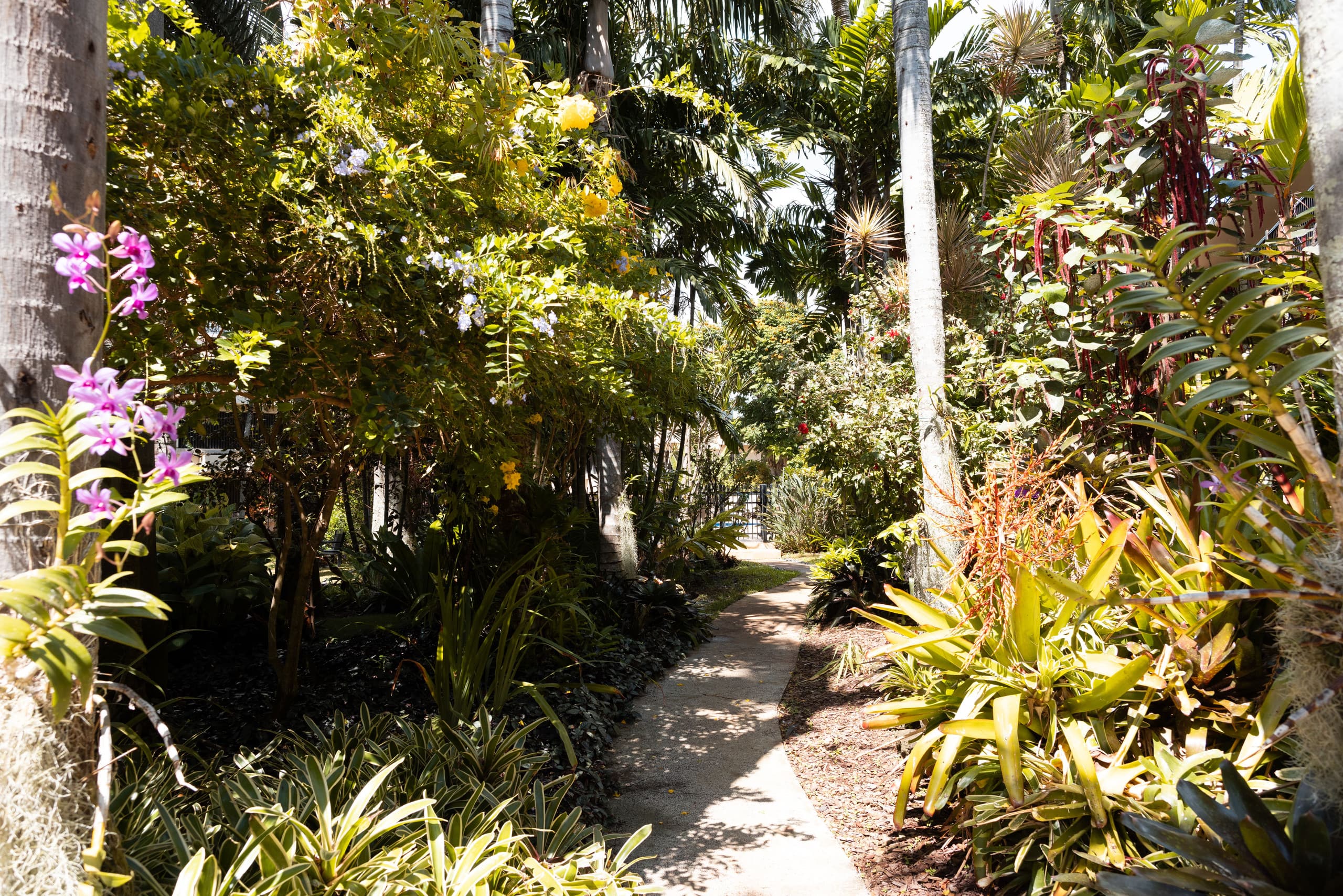 Condo in Koloa · ★4.97 · 1 bedroom · 1 bed · 1 bath - Photo 28