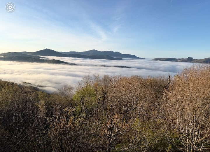 Stay Cool And Classy This Summer On Cloud 9 - Completely Updated With Top Views. - North Carolina