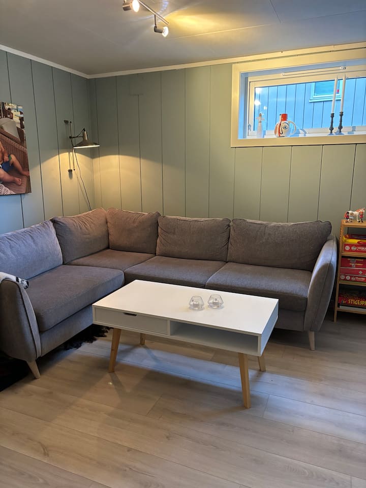 Enebolig Til Leie. Påska 2026 + Norway Cup/sommer - Oslo